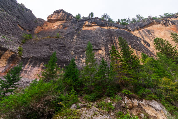 crazy women canyon, floresta nacional bighorn - bighorn mountains - fotografias e filmes do acervo