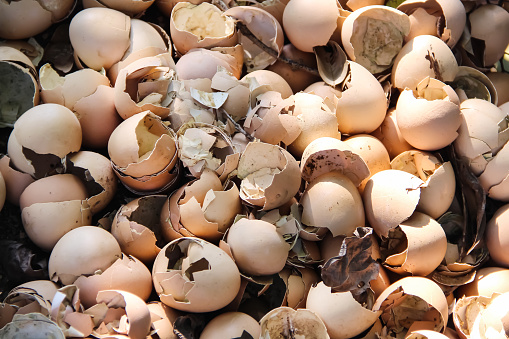 Old brown eggshell in basket with dirty texture on background