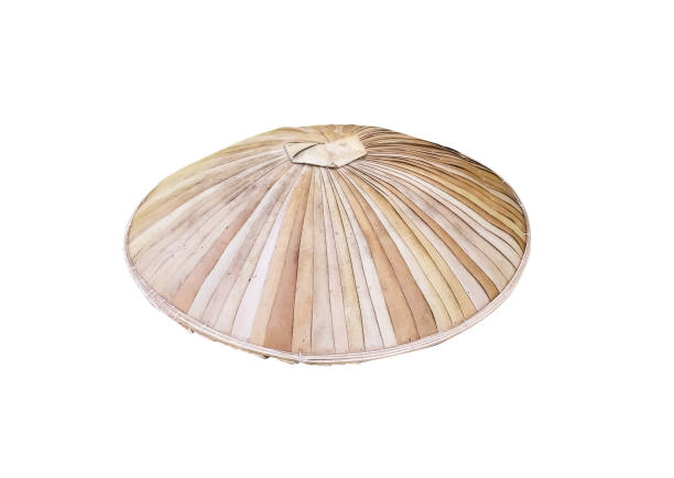 istock Old plam leaf hat with dust stain and dirty texture  isolated on white background , clipping path 1389053716