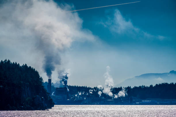 Photo Taken In Tacoma, Washington