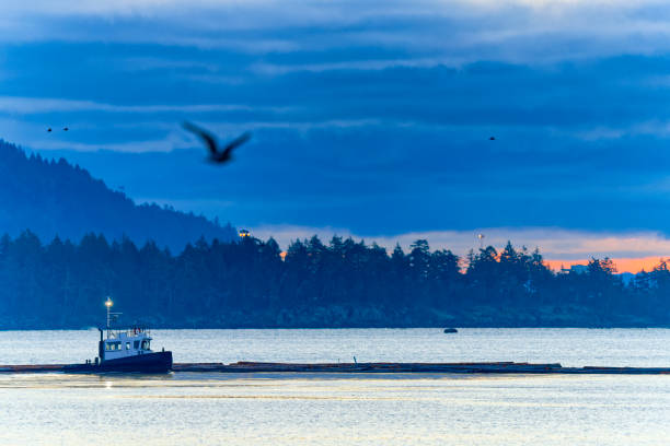 Tug boat servicing log booms in the Nanaimo Harbor on Vancouver Island, British Columbia