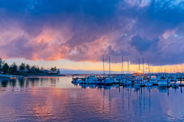istock Vancouver Island British Columbia 1389060109