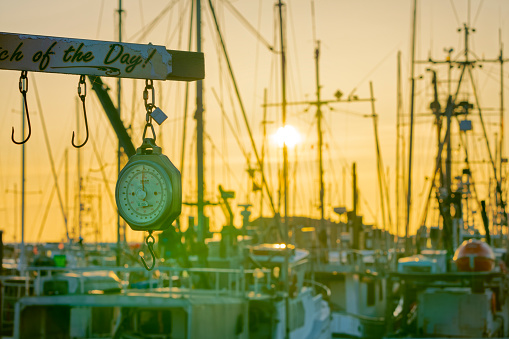 Weight scale and Fishing boats at sunrise docked at French Creek marina on Vancouver Island, British Columbia
