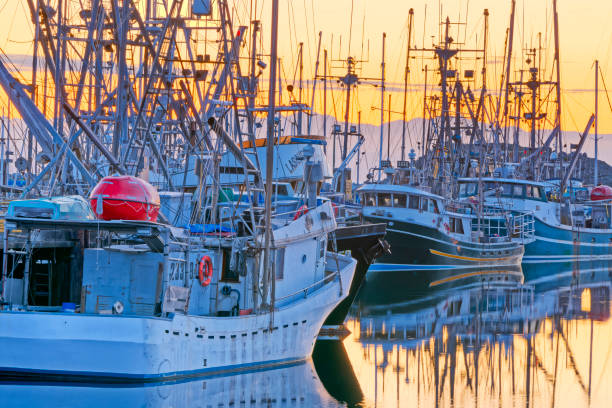 istock Vancouver Island British Columbia 1389060180