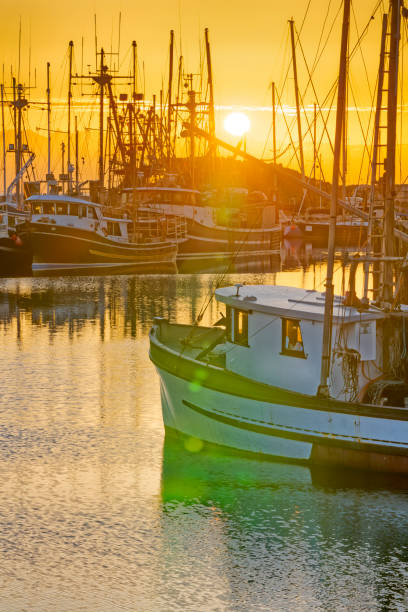 Squid fishing boat