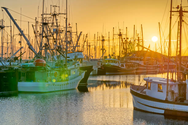 istock Vancouver Island British Columbia 1389060192