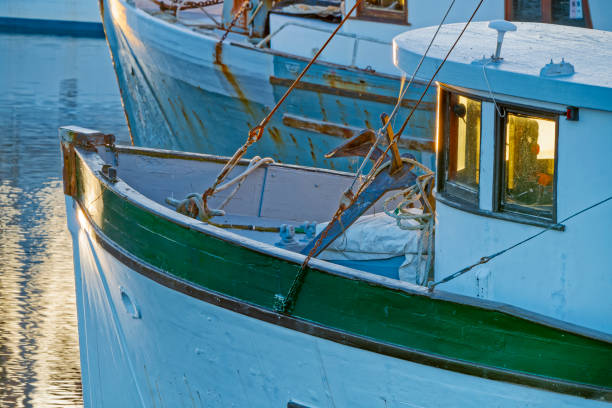 Fishing boats at sunrise docked at French Creek marina on Vancouver Island, British Columbia