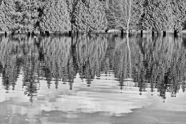 istock Vancouver Island British Columbia 1389060387