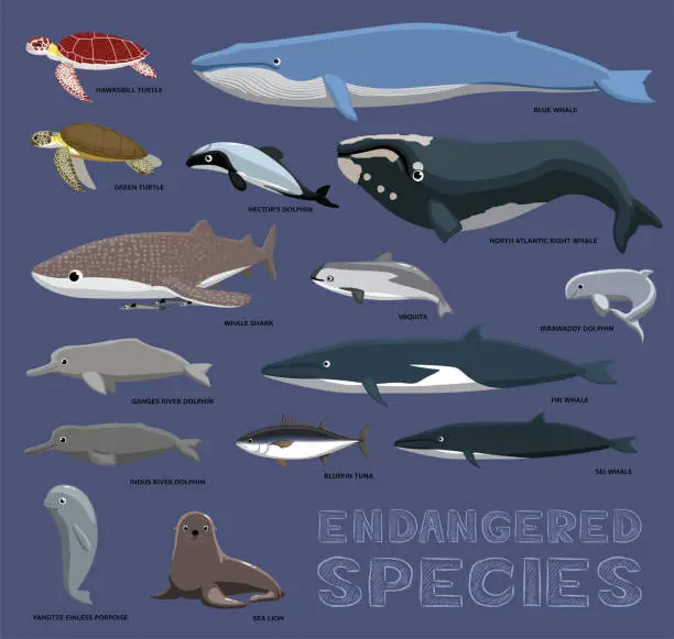 Vector illustration of Sea and River Endangered Species Cartoon Animal Cute Vector Illustration