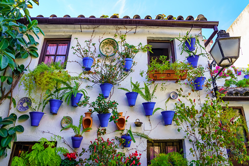 Cordoba, Spain, November 12, 2021: Typical Andalusian facade with flower pots and plants in Córdoba Spain.