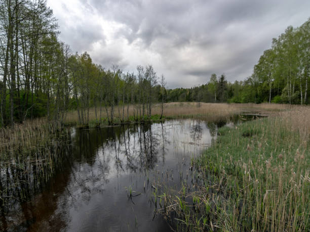 istock spring landscape with beautiful sky, clouds and tree reflections in the water 1389076709
