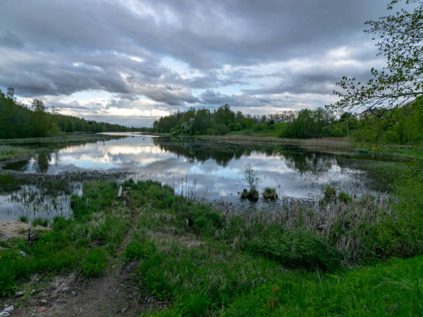 istock spring landscape with beautiful sky, clouds and tree reflections in the water 1389076840