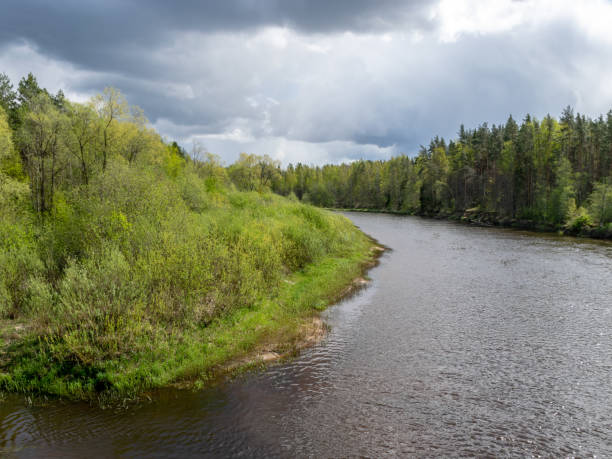 istock spring landscape with a river, the first bright spring greenery on the river bank 1389078197