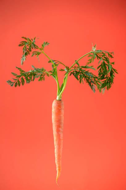 istock Creative photos of carrots on an orange background 1389081052