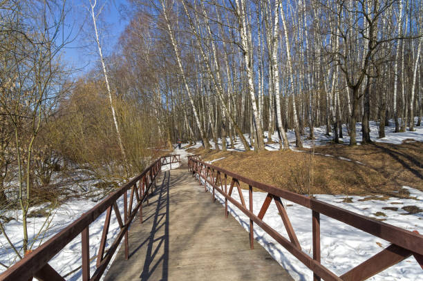 Pedestrian bridge at the bottom of a small ravine. Teplostanovsky forest park, late spring, sunny day at the end of March. Moscow, Russia.