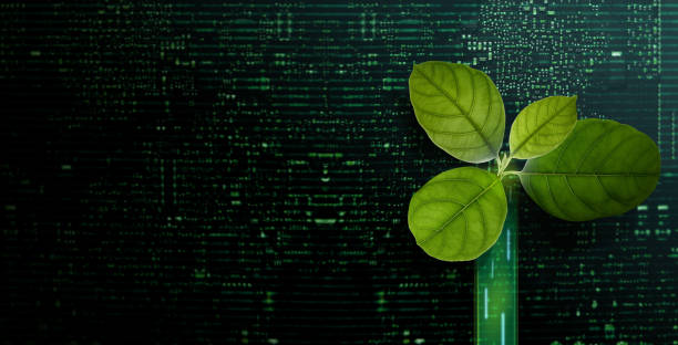 カーボン・ナウトラル、esgコンセプトコンピュータ回路基板内部の緑色の葉。生長。環境、ビジネス、テクノロジーの成長を共に。持続可能な資源 - ecosystem ストックフォトと画像