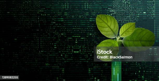 Carbon Nautral Esg Concepts Green Leaf Inside A Computer Circuit Board Growth Environmental Business And Technology Growth Together Sustainable Resources Stock Photo - Download Image Now