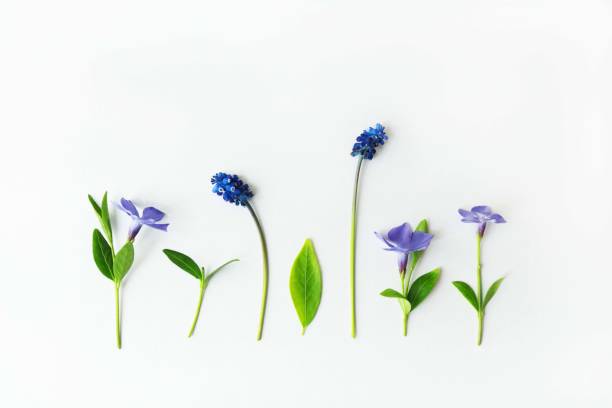 istock Minimal flower blue and green organized background 1389089052