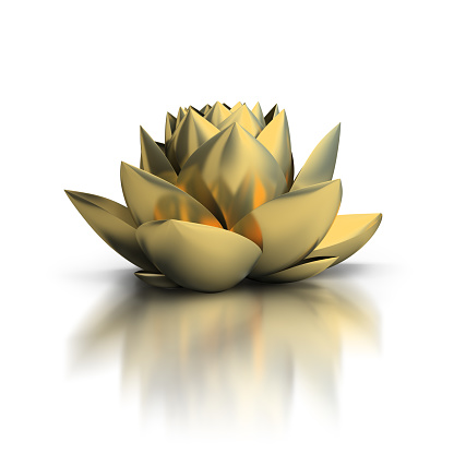 Golden lotus on reflective surface. 3d generated image. White background.