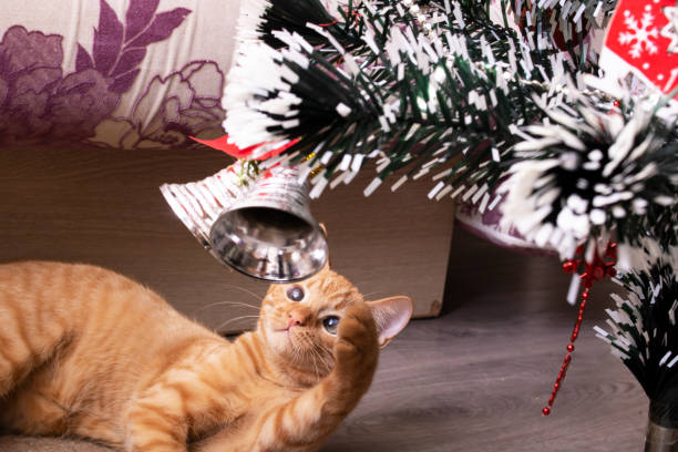 istock Kitten plays with decorations on the Christmas tree 1389094980