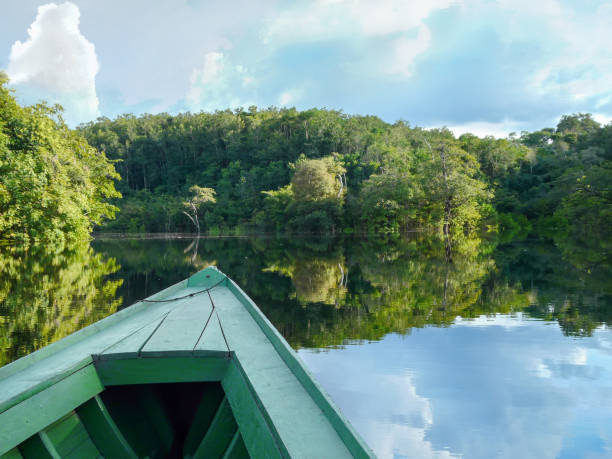 istock Amazon river and rain forest jungle, Brazil 1389098094