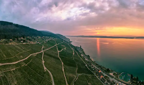 Aerial view above the municipality of Ligerz and the vineyards at the lake shore that belong to the Bielersee wine-growing region. Morning mood near the city of Biel Bienne, canton Bern, Switzerland