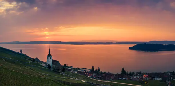 Panoramic view of the vineyards above the municipality of Ligerz, the church of Ligerz, Lake Biel and part of St. Peter's Island on the right. Sunrise with a partly cloudy sky. Morning mood near the city of Biel Bienne, canton Bern, Switzerland