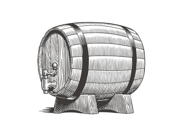 Vintage old wooden cask or barrel for beer or wine isolated on white background. Engraving style vector illustration. Vintage old wooden cask or barrel for beer or wine isolated on white background. Engraving or etching style vector illustration. keg stock illustrations