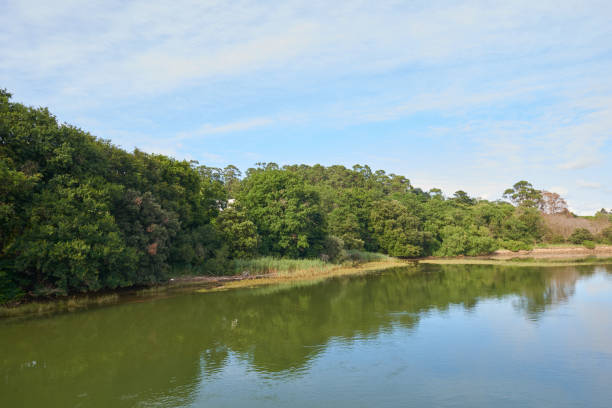 istock A river with vegetation along its banks under a cloudy sky 1389113226