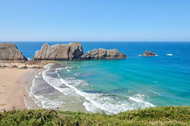 istock An extensive beach with transparent waters and surrounded by vegetation. 1389113262