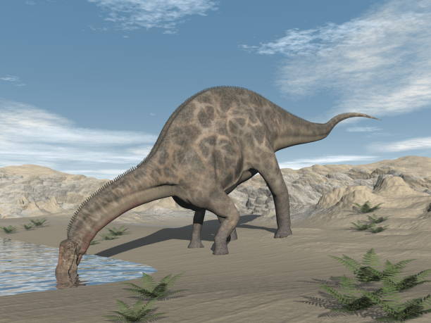 istock Dicraeosaurus dinosaur drinking in the desert - 3D render 1389116368