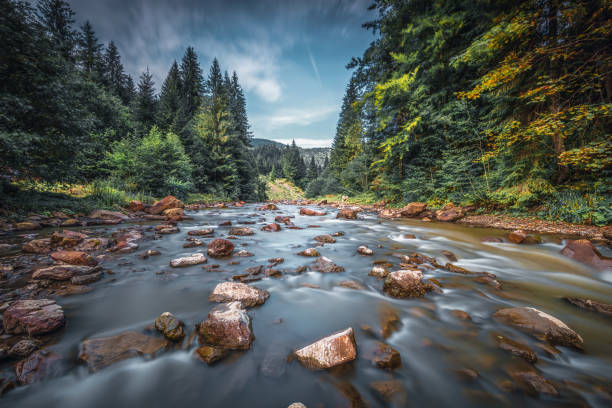 istock Mountain river in Carpathians. Ukraine 1389121778