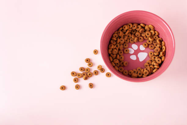 istock cat food in a round ceramic bowl on a pink background, flat lay 1389126154