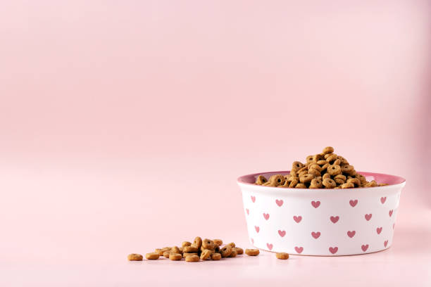 istock cat food in a round ceramic bowl on a pink background 1389126159