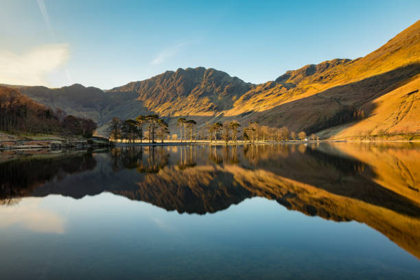 istock Row of Pine Trees reflected in a calm Buttermere, Lake District, UK. 1389126252