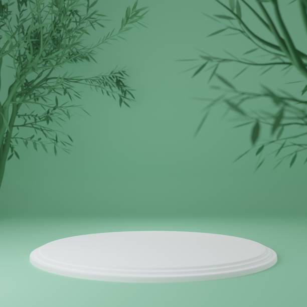 istock Product Stand in green room ,Studio Scene For Product ,minimal design,3D rendering 1389127263