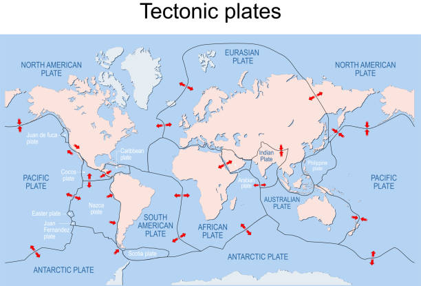 Map of Earth's principal tectonic plates. vector art illustration