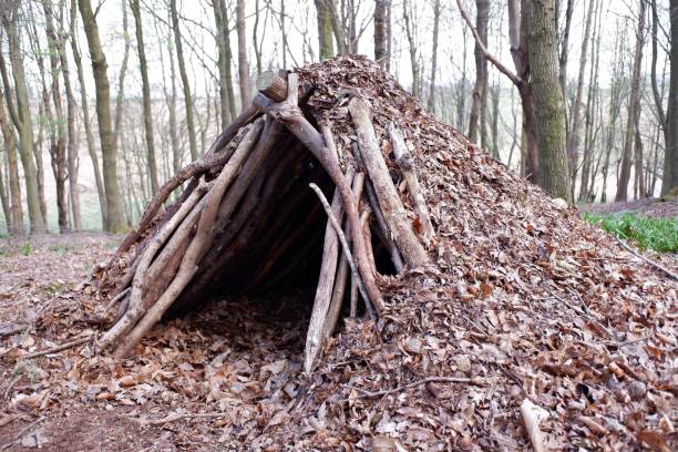 istock Bushcraft leaf hut shelter in woodland 1389134787
