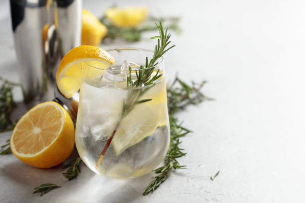 erfrischendes getränk mit natureis, zitrone und rosmarin. - glass ice tonic water frozen stock-fotos und bilder