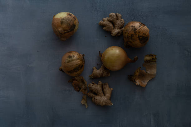 Onions and ginger lying on a rustic background, with empty space on both sides for text. Still life food photography