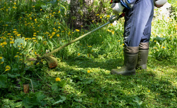 istock Man mows grass with a gasoline scythe 1389143818