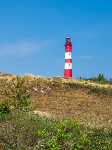istock Lighthouse in Wittduen on the island Amrum, Germany 1389144055
