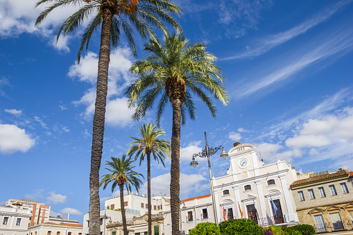 Palm trees on the central market square of historic city Merida, Spain