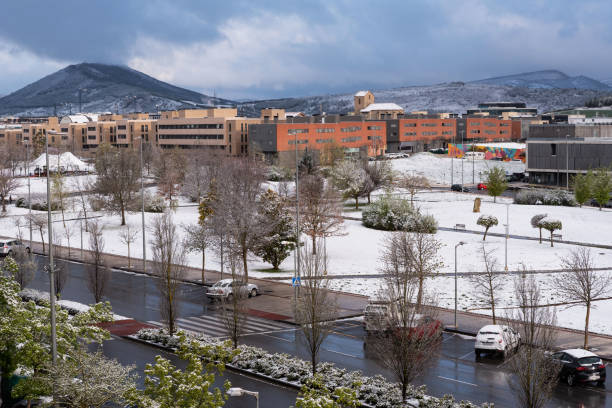 istock Spring snow. Kingdom of Navarra Avenue. Sarriguren 1389147737