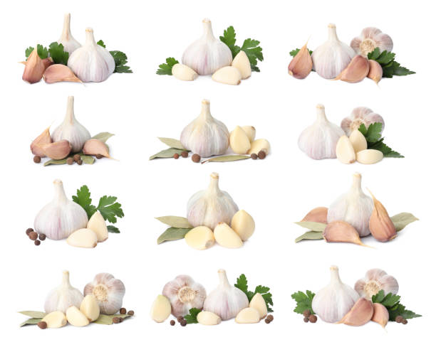istock Set with garlic bulbs and cloves on white background 1389149022