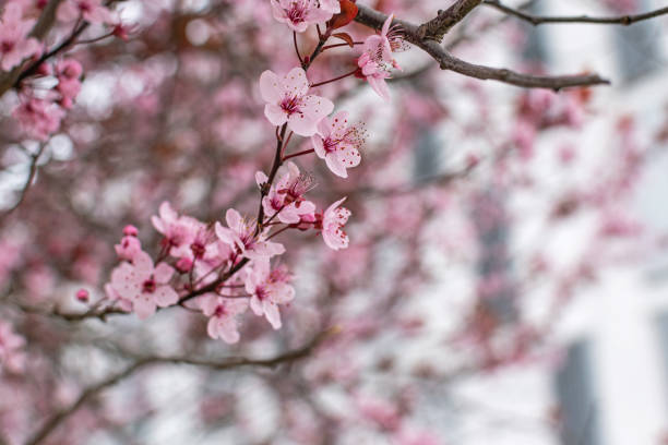 istock Spring is coming to the city 1389149629