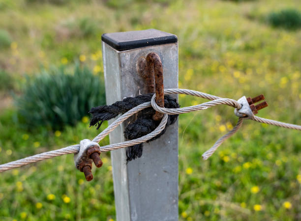 istock A metal cable is threaded into a ring on a pole dug into the ground to enclose the territory. 1389151254