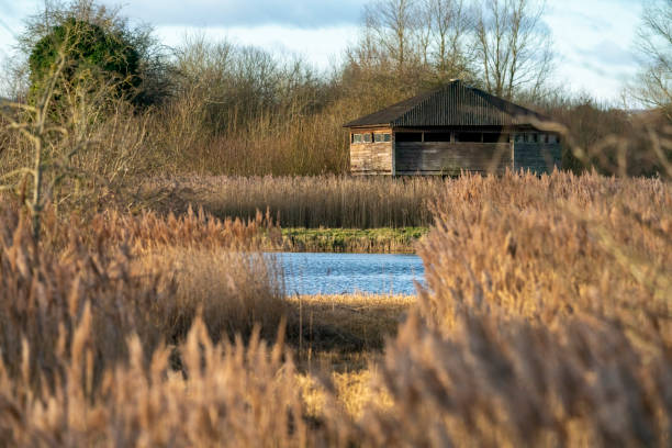 Bird Hide at Fowlmere nature reserve, Cambridgeshire.