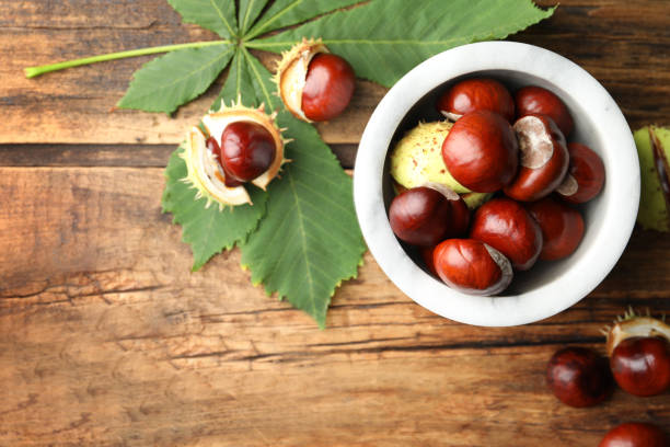 Horse chestnuts on wooden table, flat lay. Space for text Horse chestnuts on wooden table, flat lay. Space for text aesculus hippocastanum stock pictures, royalty-free photos & images