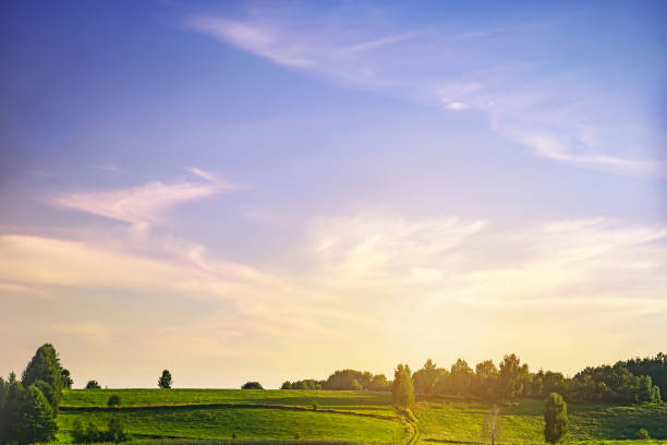 istock Green trees, field and sunset (sunrise) sky with fluffy cirrus clouds soft focus in summer. 1389154820